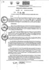 Vista preliminar de documento Resolución Gerencial