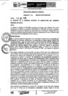 Vista preliminar de documento Resolución Gerencial