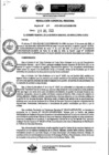 Vista preliminar de documento Resolución Gerencial
