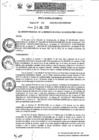 Vista preliminar de documento Resolución Gerencial