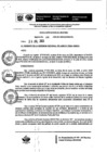 Vista preliminar de documento Resolución Gerencial