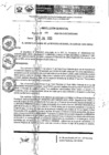 Vista preliminar de documento Resolución Gerencial