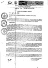 Vista preliminar de documento Resolución Gerencial