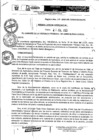 Vista preliminar de documento Resolución Gerencial