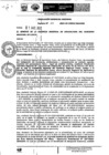 Vista preliminar de documento Resolución Gerencial