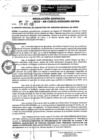 Vista preliminar de documento Resolución Gerencial
