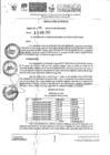 Vista preliminar de documento Resolución Gerencial