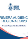 Vista preliminar de documento Diresa - Logros y Avances