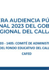Vista preliminar de documento CAFED - Logros y Avances
