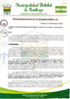 Vista preliminar de documento Resolucion de Alcaldia 919