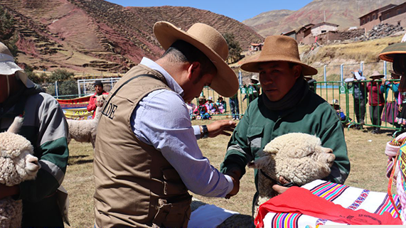 FOTO DE PUBLICACION