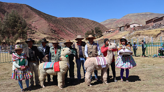 FOTO DE PUBLICACION