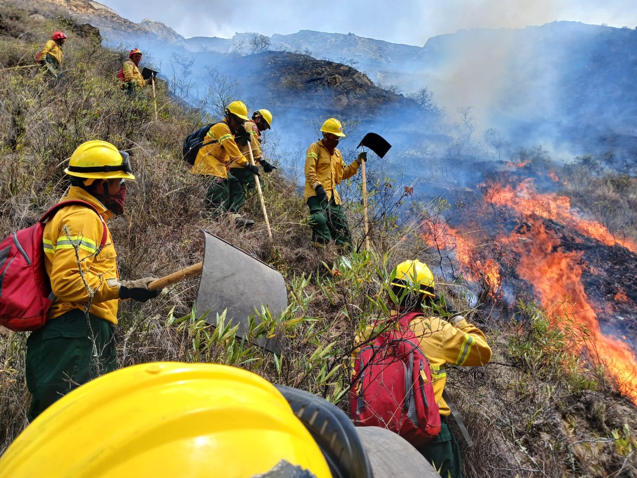 Bomberos forestales