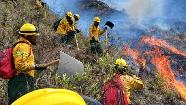 Bomberos forestales