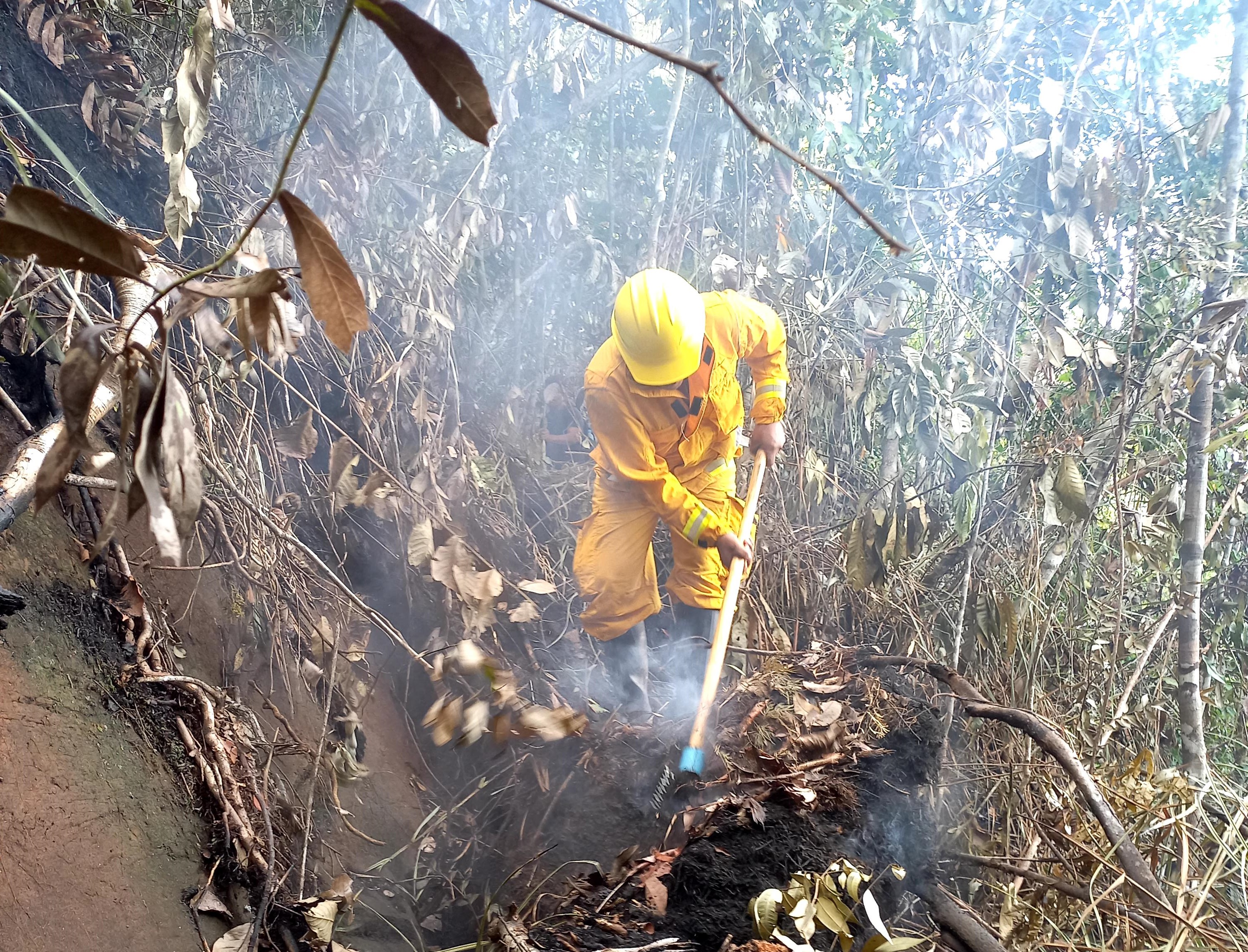 Incendio PN Cordillera Azul