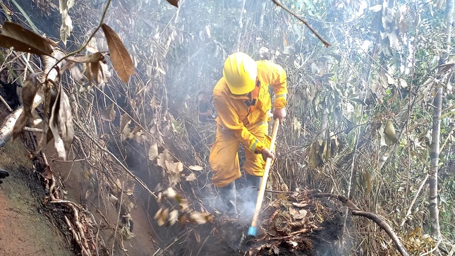 Incendio PN Cordillera Azul