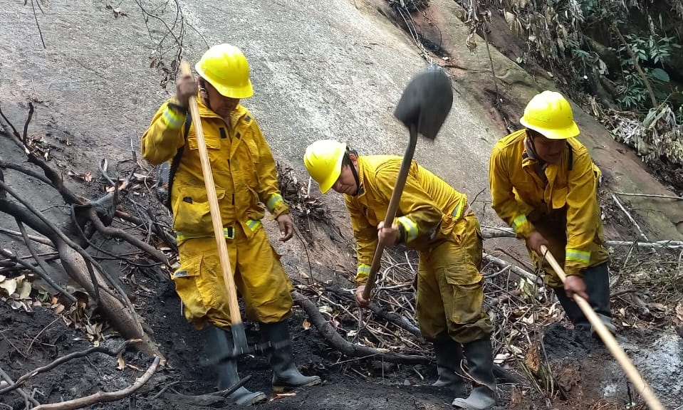 Incendio PN Cordillera Azul