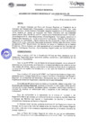 Vista preliminar de documento ACR N141