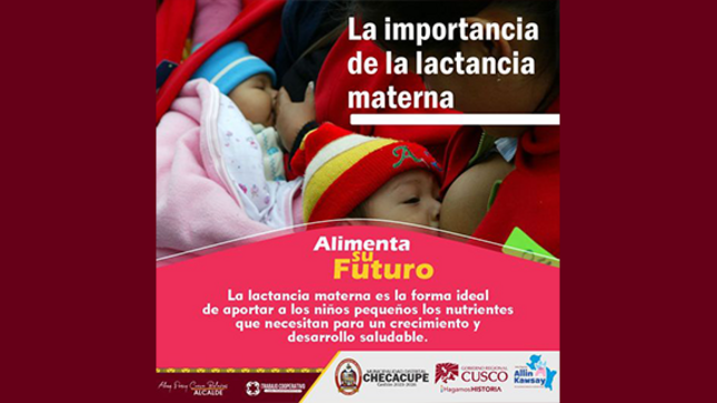 diseño de publicaciones