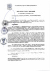 Vista preliminar de documento RA 196-2021