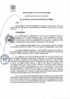 Vista preliminar de documento RA 197-2021