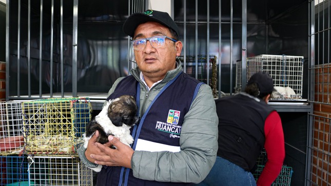 Fueron derivados al Centro Veterinario para su evaluación y posterior adopción