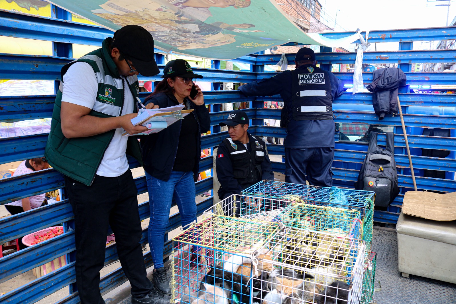 Fueron derivados al Centro Veterinario para su evaluación y posterior adopción