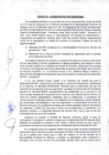 Vista preliminar de documento Acta 03