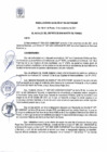 Vista preliminar de documento RA 204-2021
