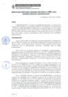 Vista preliminar de documento RDRS 262-2023 