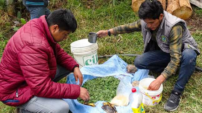 Preparación de Biol