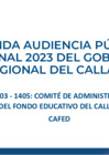 Vista preliminar de documento CAFED - Logros y Avances