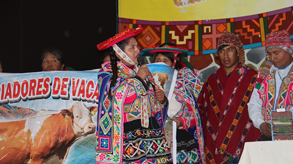 foto de publicación