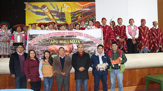 foto de publicación