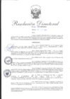 Vista preliminar de documento R.D. N 493-2023-INPE-ORNCH 