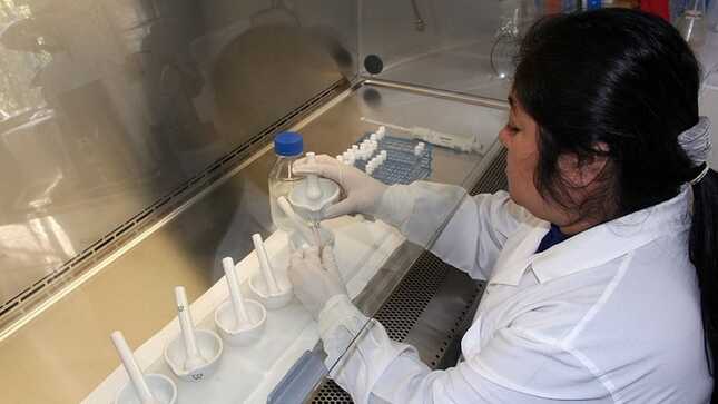 INS cuenta con pruebas de alta tecnología para diagnosticar casos de rabia