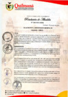 Vista preliminar de documento RESOLUCION DE ALCALDIA N° 260-2023-MDQ - APROBAR LA CONFORMACION DEL EQUIPO TECNICO MUNICIPAL (ETM) DE LA MUNICIPALIDAD DISTRITAL DE QUILMANA