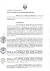 Vista preliminar de documento RD 272-2023-LLP-DE
