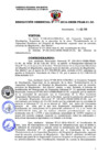 Vista preliminar de documento 208-2016-GRSM-PEAM-01.00
