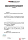 Vista preliminar de documento TDR FACTOR VIII F F F F F F F 