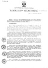 Vista preliminar de documento RS N° 014-2020-MINEM-SG