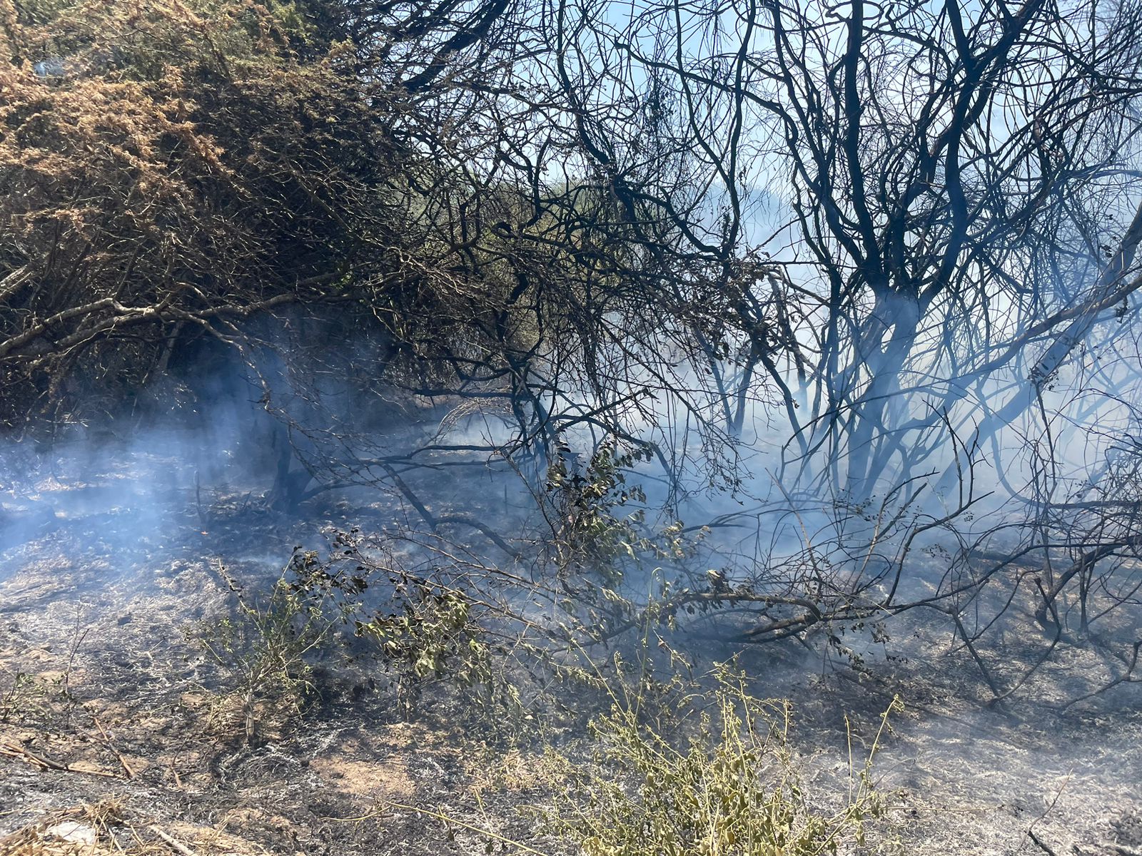 Incendio