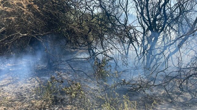 Incendio