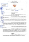 Vista preliminar de documento RD N 672