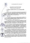 Vista preliminar de documento RA 209-2021