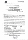 Vista preliminar de documento R.E.E.A.A 381-2023-18-10-2023
