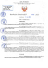 Vista preliminar de documento RD N 676