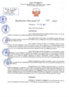 Vista preliminar de documento RD N 677