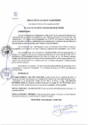 Vista preliminar de documento RA 221-2021