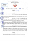 Vista preliminar de documento RD N 683